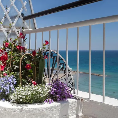 One Bedroom With Terrace And Wifi At 阿利坎特